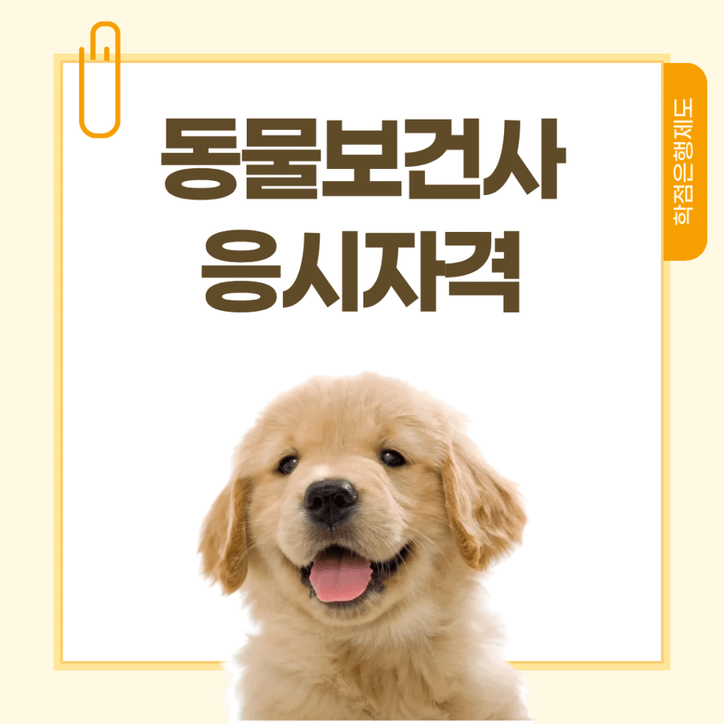 동물보건사 자격증 응시자격 준비 방법 및 주의사항